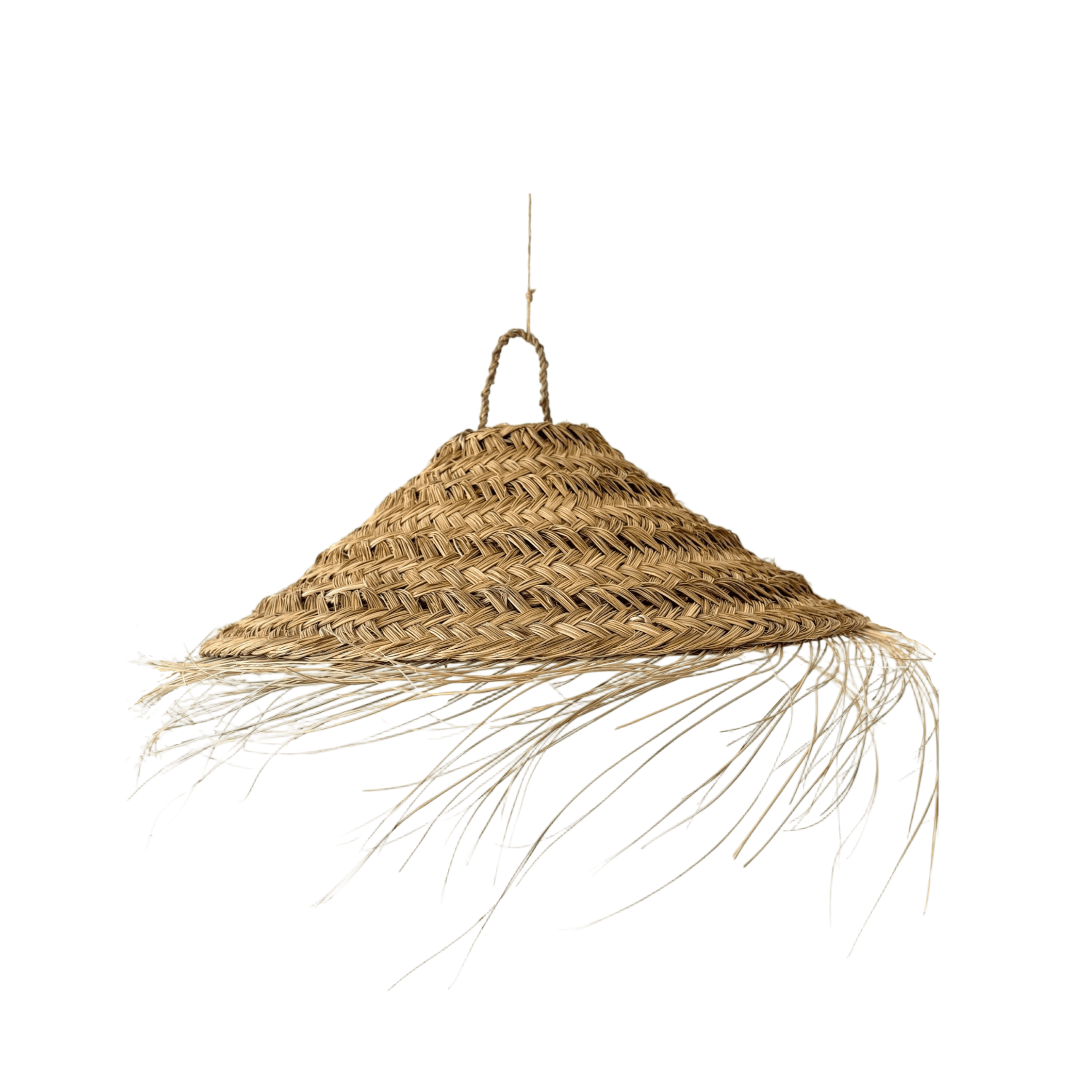 Palm Leaf Pendant Lampshade DABAS SPĒKS - Image 1