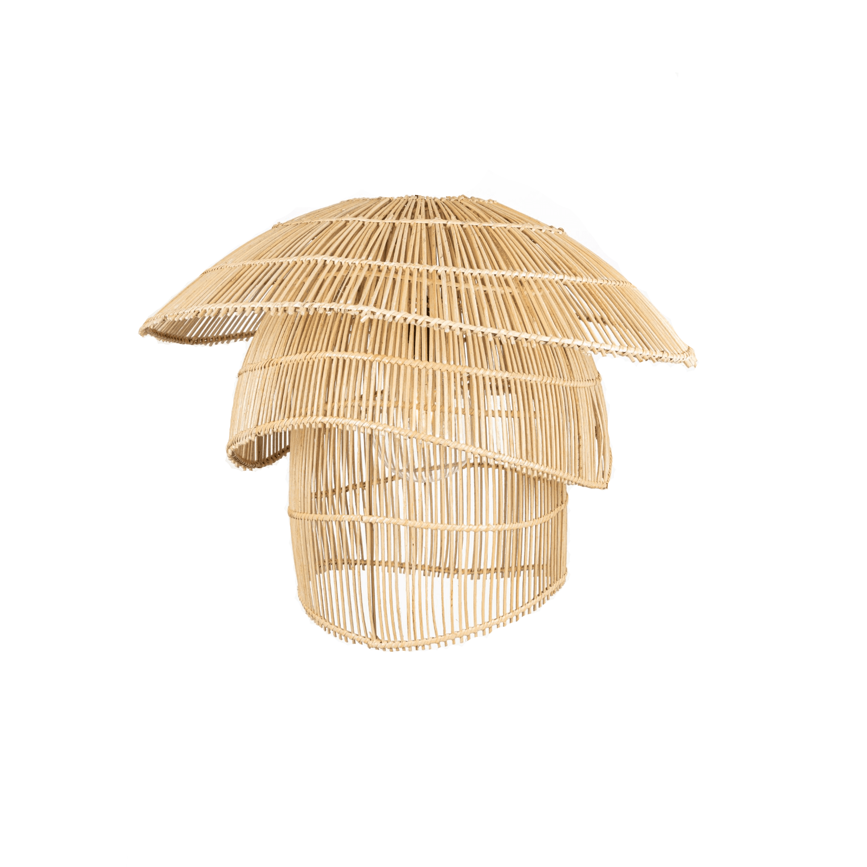 Ceiling Lampshade BRUNCIS - Image 1