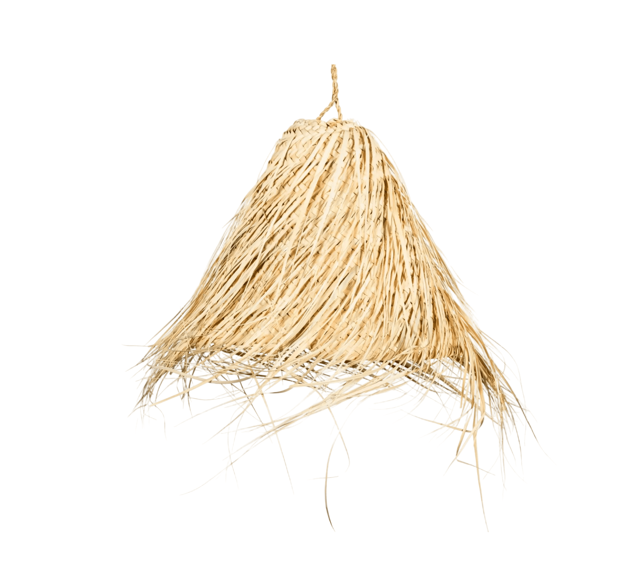 Palmi Laelambikuppel MEDITĀCIJA - Image 1