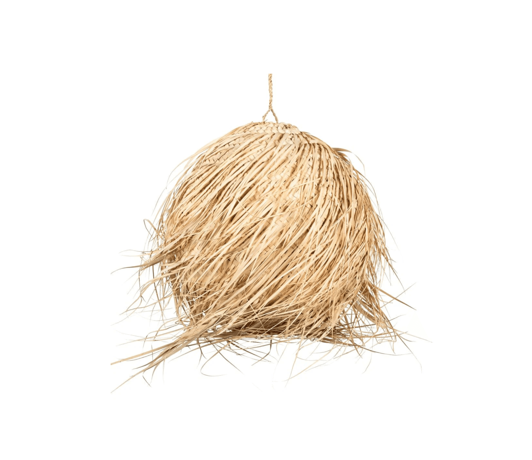 Palm Ceiling Lampshade VĒJA LODE - Image 1