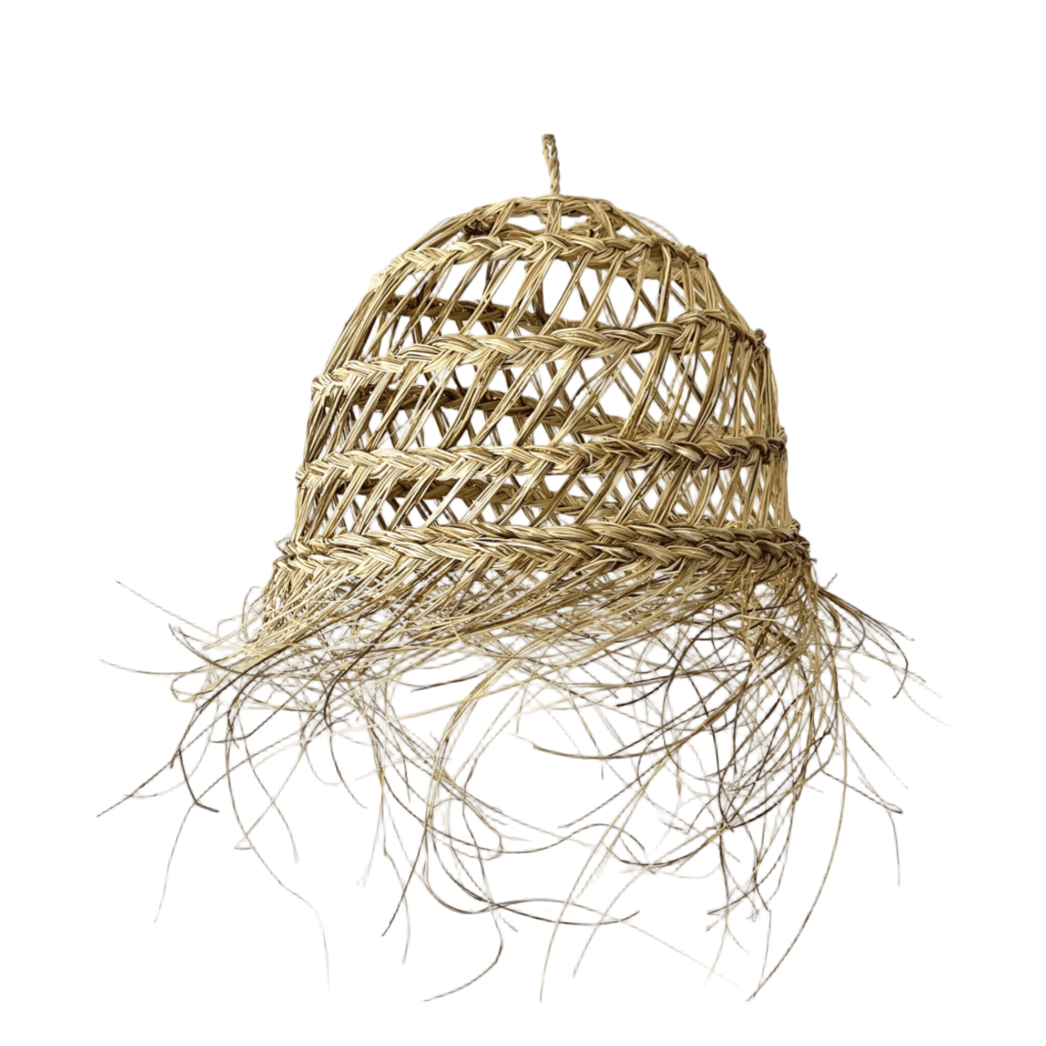 Palm Leaf Ceiling Lampshade VĒJA ROTA - Image 1