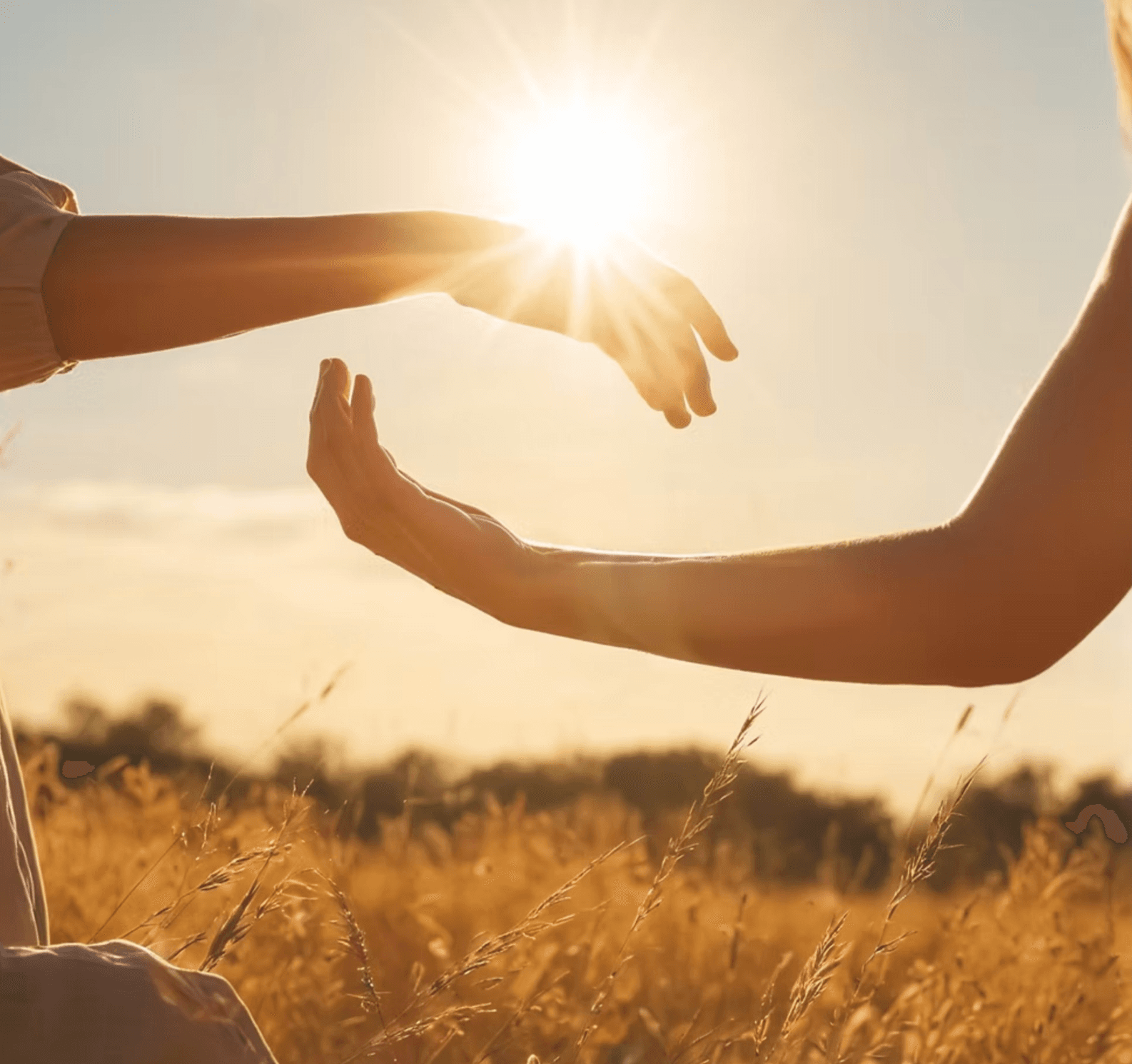 Helping hands in golden sunlight