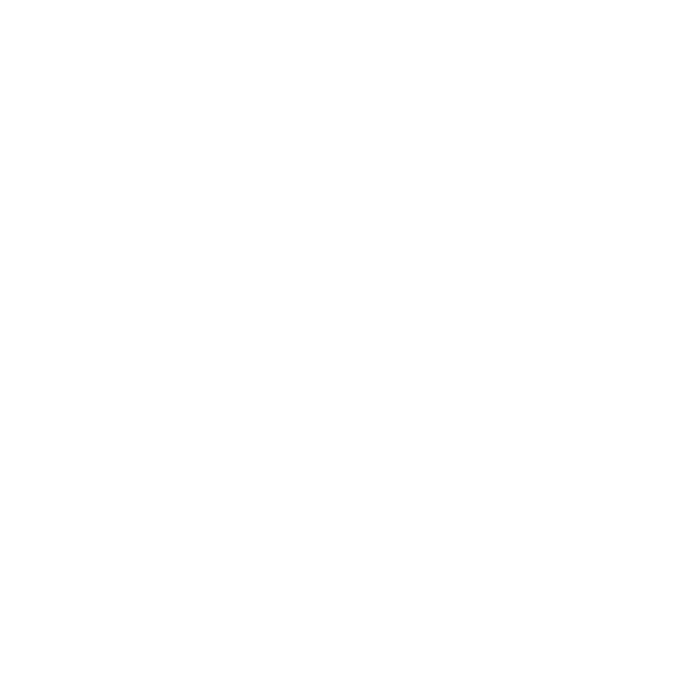 Skalbes Logo